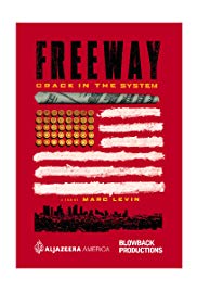 Freeway: Crack in the System